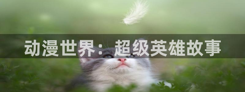 58动漫动画：动漫世界：超级英雄故事