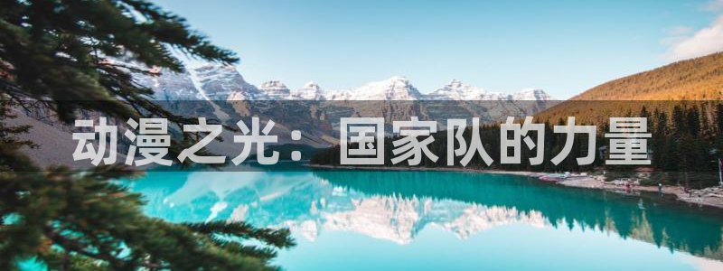 58动漫网官方下载：动漫之光：国家队的力量