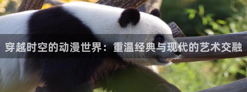 58动漫.：穿越时空的动漫世界：重温经典与现代的艺术交融