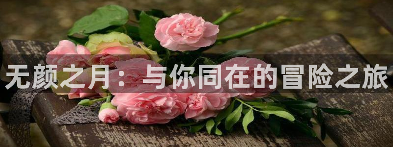 58动漫网页：无颜之月：与你同在的冒险之旅